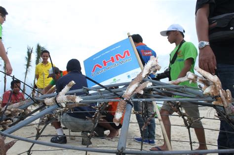 Restorasi Terumbu Karang Di Pulau Umang Gilamotor