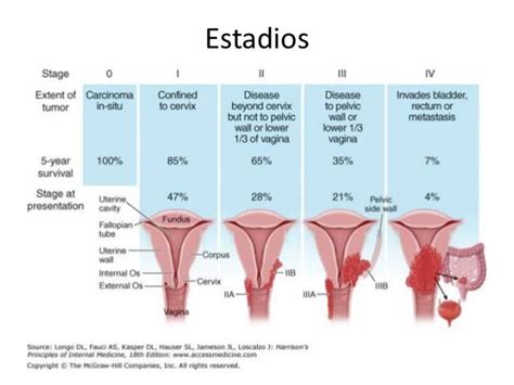 Etapas Del Cancer