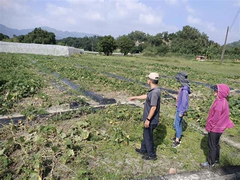 康芮颱風肆虐 高雄爭取擴大農損救助項目 即日起受理