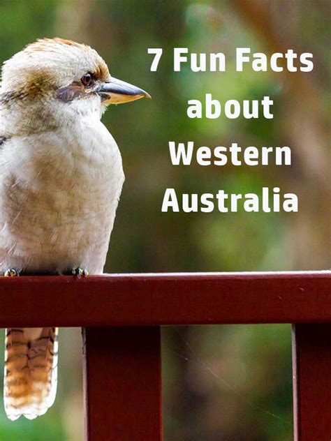 7 Fun Facts About Western Australia Two Grey Nomads