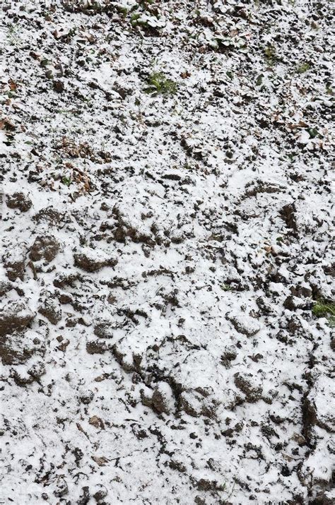 A Textura Do Solo Coberto Uma Fina Camada De Neve O Solo Do