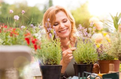 Como Projetar Um Jardim Passos