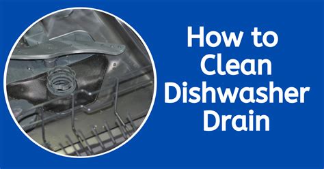 How To Clean Dishwasher Drain 4 Effective Ways Applance Delight