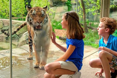 Visiting Indianapolis Zoo | Information, Tips & Exhibits