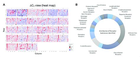 Identification Of Gpcrs In Vascular Endothelial Cells Panel A Download Scientific Diagram