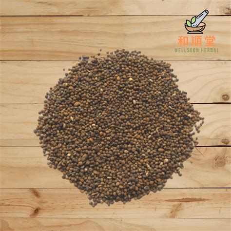 Cuscuta seeds Semen Cuscutae 菟丝子 600g | Wellsoon Herbal | Reviews on ...