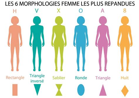 Les Diff Rentes Morphologies F Minines