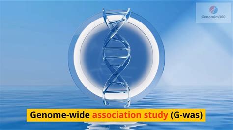 Genome Wide Association Study Gwas Youtube