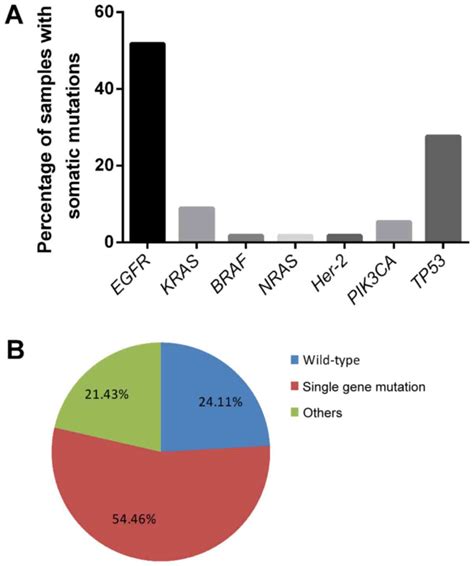 Next‑generation Sequencing‑based Detection Of Egfr Kras Braf Nras