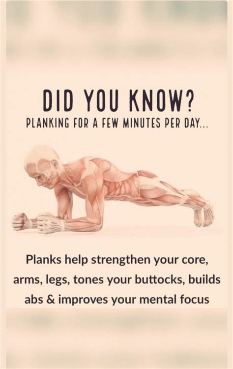 Most Effective Exercises Save This Plank Up Workout