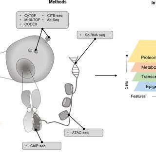 Overview of single-cell technology. Various single-cell methods have ...