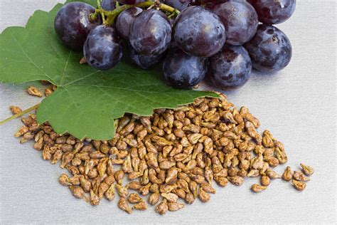 Grape seed benefits: Amazing benefits of grape seed on your health & skin