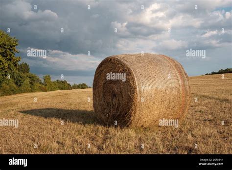 Farmer With Bales Of Straw Hi Res Stock Photography And Images Alamy