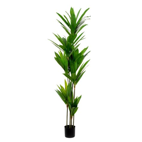 Roślina sztuczna TROPICAL ZONE dracena 180 cm HOMLA Homla Sklep