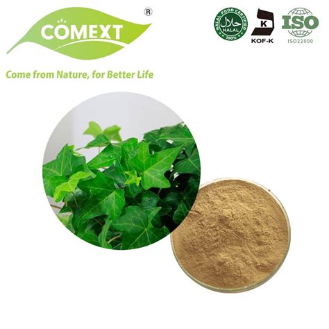 Comext Plant Extract Hedera Helix IVY Powder China IVY Powder And