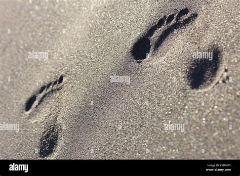 Strand fussabdruck Fotos und Bildmaterial in hoher Auflösung Alamy