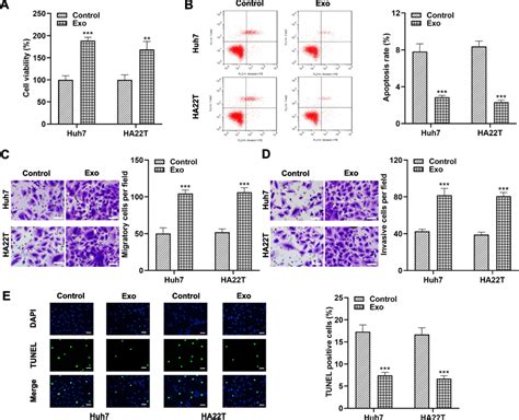 Hepatocellular Carcinoma Derived Exosomes Induce Tumor Cell Growth