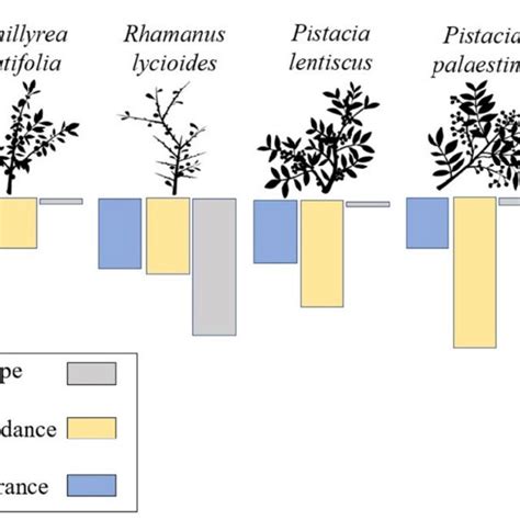 A Superposition For The Three Different Drought Resistance Strategies