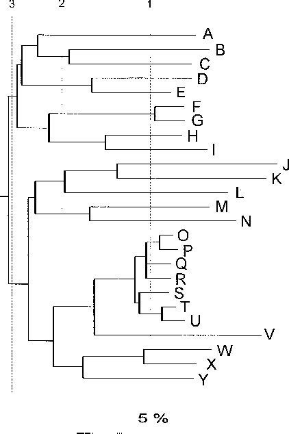 Figure 2 From Phylogenetic Basis For A Taxonomic Dissection Of The