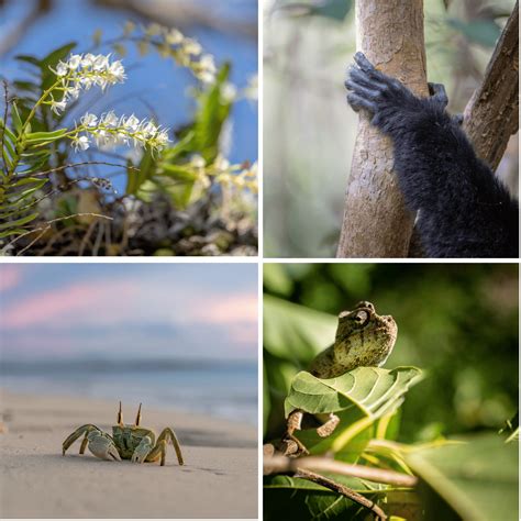 The Enchantment Of Madagascar Miavana By Time Tide