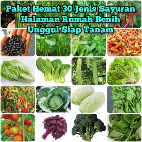 Jual Paket Hemat Jenis Biji Benih Sayuran Bibit Unggul Sayuran