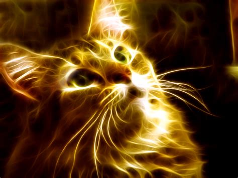 Fire Cat by TazPoltorak on DeviantArt