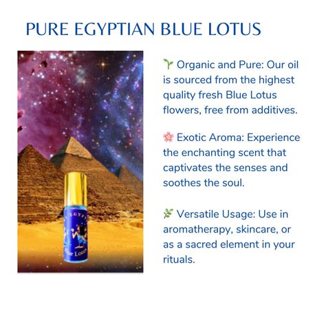 Egyptian Blue Lotus 5ml 3 Pack Rare Nymphaea Caerulea Oil Undiluted