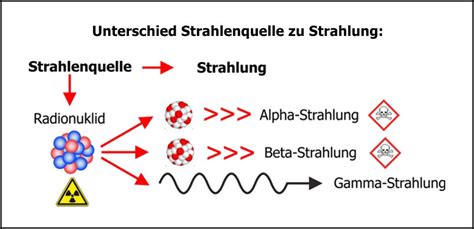 Wissenschaftliche Informationen