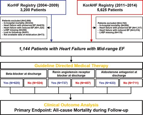 Heart Failure Goal Directed Medical Therapy