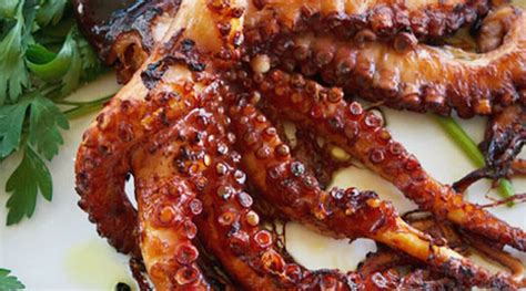 Is Octopus halal? – The Halal Life