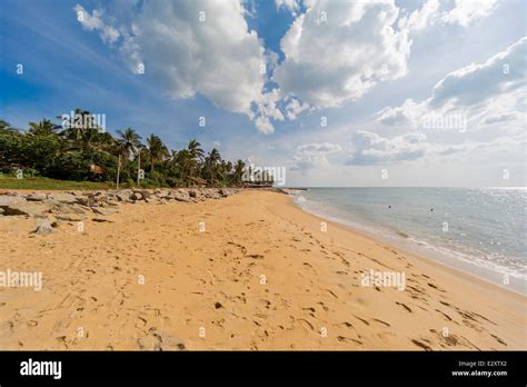 negombo beach sri lanka stock photo alamy