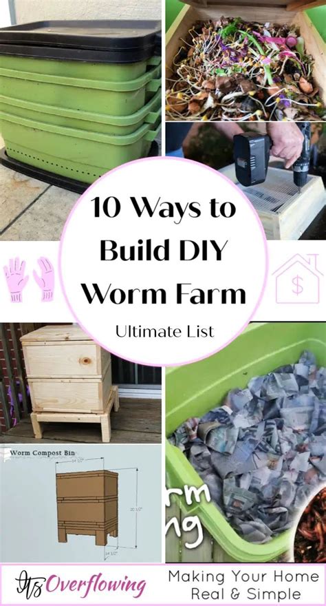 Diy Worm Farm How To Make A Worm Compost Bin Worm Composting Worm