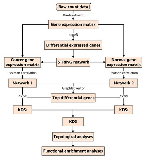 Biomolecules Special Issue Big Data Analysis In Biomolecular