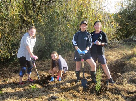 Year 8 Global Perspectives students plant native trees - Wentworth Private School - Gulf Harbour