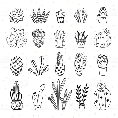 Cactus And Succulents Outline Illustrations Cute Home Plants