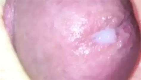 Multicummer Gay Porn Creator Videos Free Sex 4 XHamster