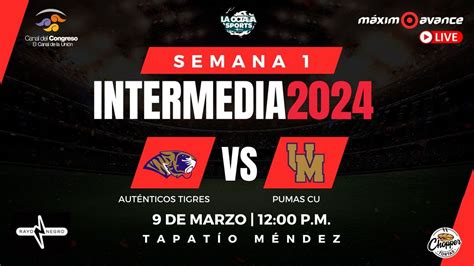 En Vivo Aut Nticos Uanl Vs Pumas Cu Intermedia Semana