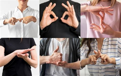 Sign Language Translation Alsun Translation