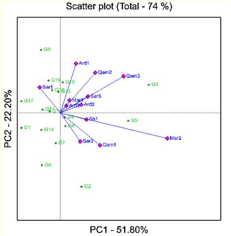 Polygon Views Of The GGE Biplot Based On Symmetrical Scaling For The