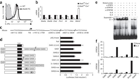 Stat Dependent Regulation Of Il R Expression A Flow Cytometry Of