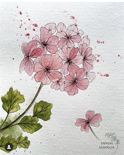 Pin By Marleen Meintjes On Art Painting Flowers In 2024 Watercolor