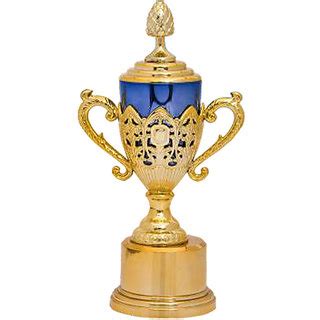 buy trophy shield prize medal     shopclues