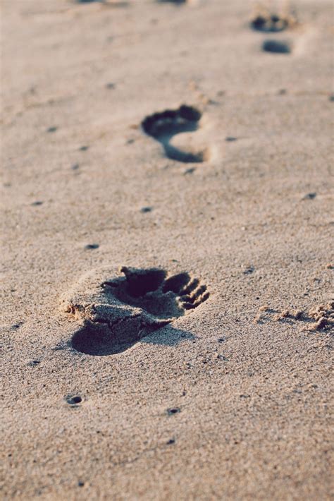 Kostenlose Foto Strand Meer Sand Rock Blatt Fußabdruck Schritt