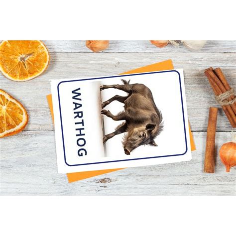 32 Safari Animals Flashcards, Kids Printable, Nomenclature Cards ...