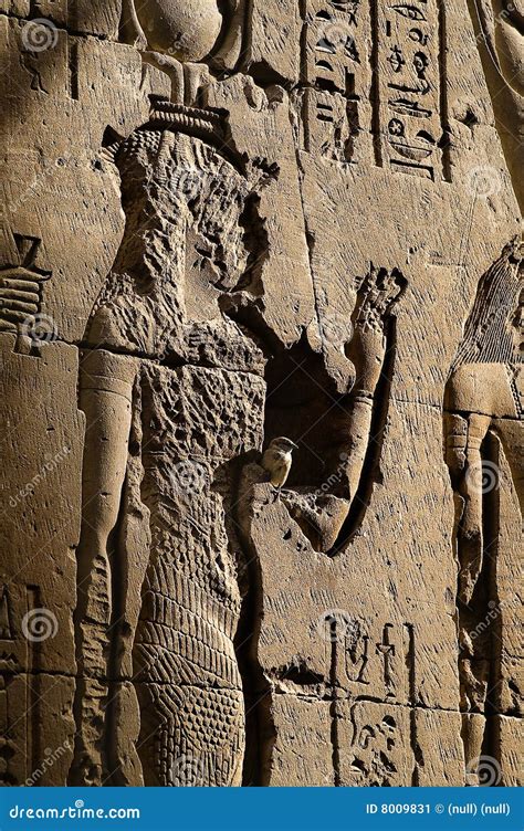 Bird On Egyptian Hieroglyph Stock Image Image 8009831