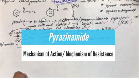 PYRAZINAMIDE - Mechanism of Action, Mechanism of Resistance. (Urdu ...