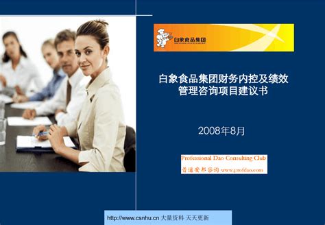 白象食品集团财务内控及绩效管理咨询项目建议书 Johnson2000word文档在线阅读与下载无忧文档