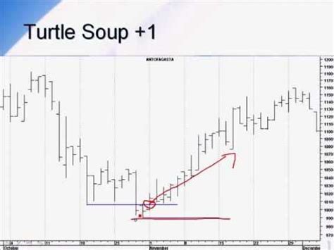 Turtle Soup Chapter 16 The Master Guide To Swing Trading Trend