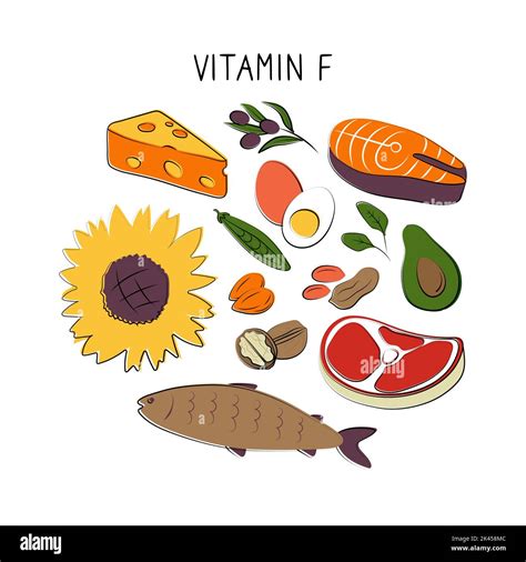 Thiaminvitamin F Linoleic Linolenic Acid Groups Of Healthy Products