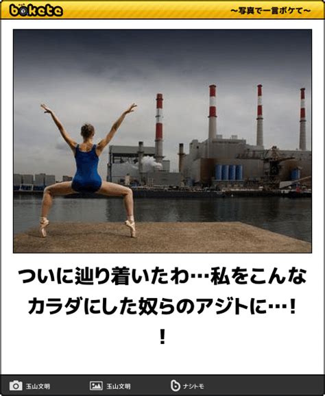 写真で一言 ボケて（bokete） おもしろ画像 （笑） 面白い写真